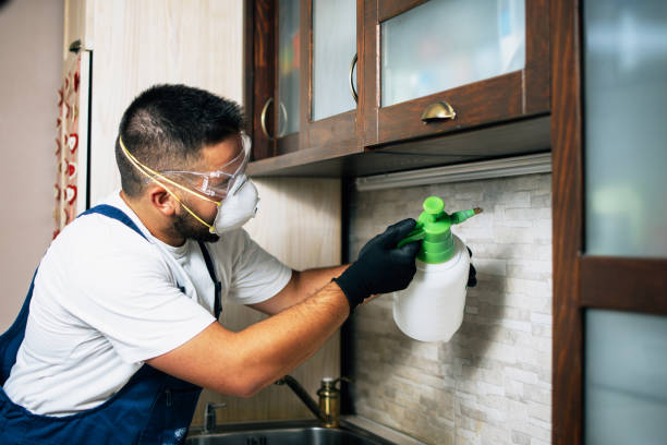 Best Termite Control Services  in Swartz Creek, MI