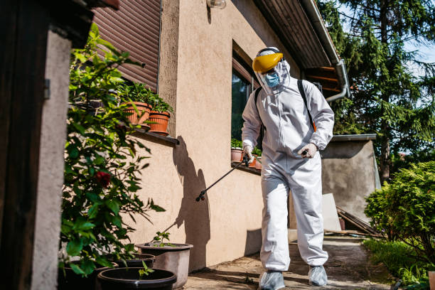 Best Emergency Pest Control  in Swartz Creek, MI