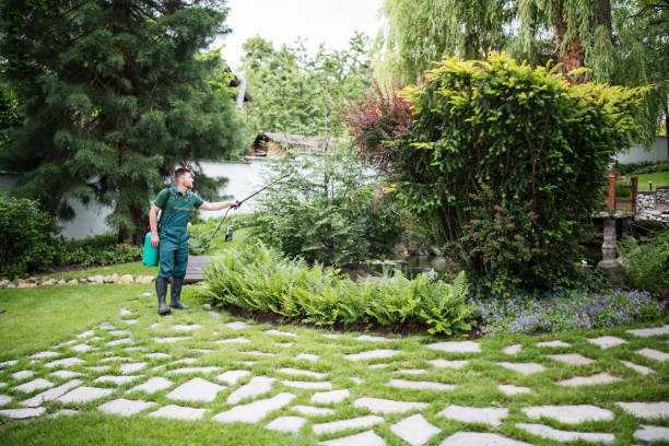 Best Exterminator Services  in Swartz Creek, MI