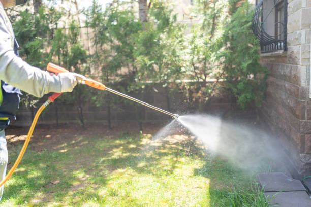 Best Rat Extermination Near Me  in Swartz Creek, MI
