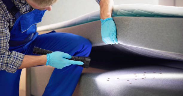 Best Ant Control Services  in Swartz Creek, MI