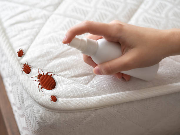Best Pest Control for Restaurants  in Swartz Creek, MI